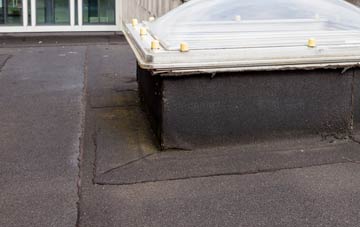 disadvantages of Finavon flat roofs